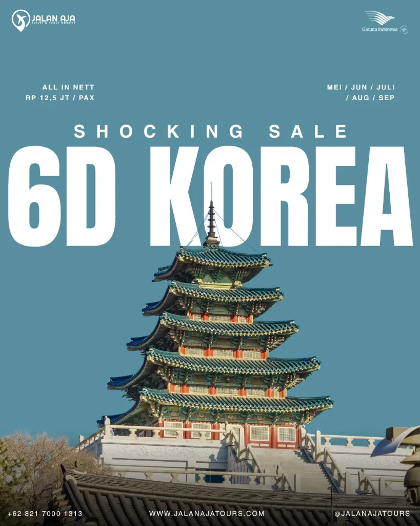 6D Korea Shocking Sale